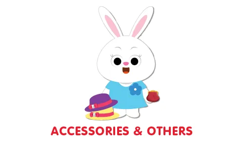 Category_accessories_others